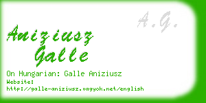 aniziusz galle business card